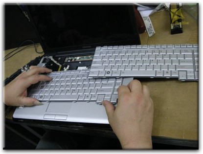 Ремонт клавиатуры на ноутбуке Toshiba в Волгограде